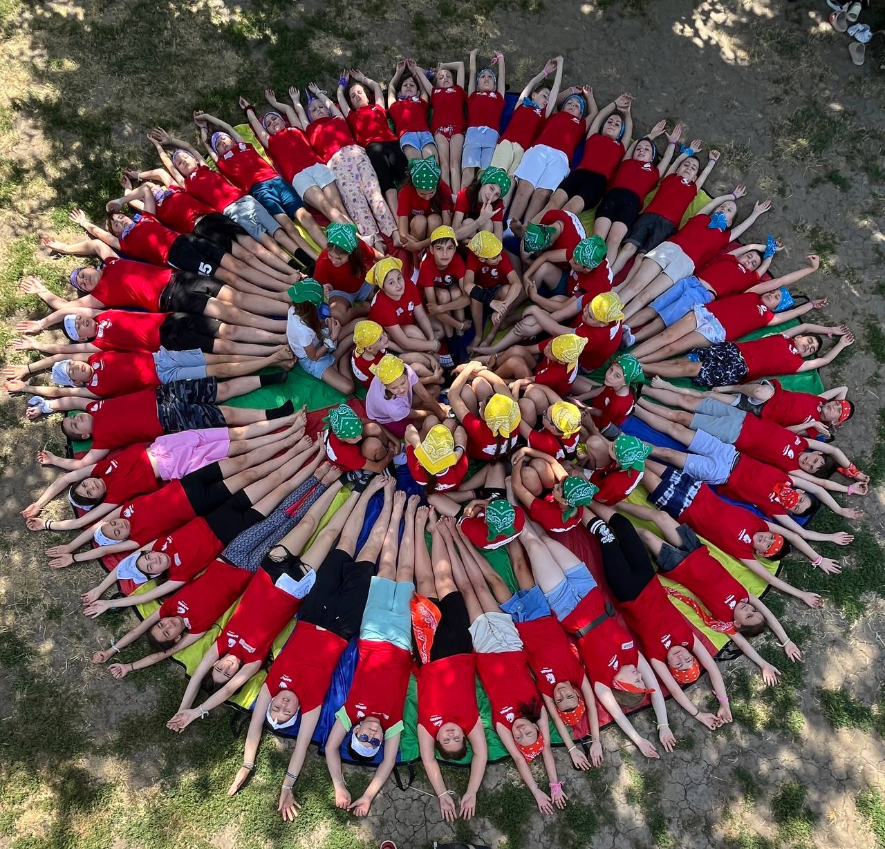 Деятельность центра Narnia